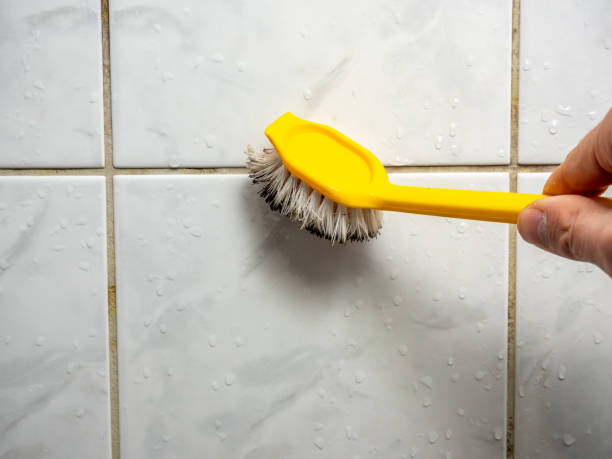 Best Emergency Mold Removal  in Cleona, PA