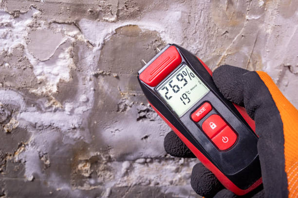Best Commercial Mold Removal  in Cleona, PA